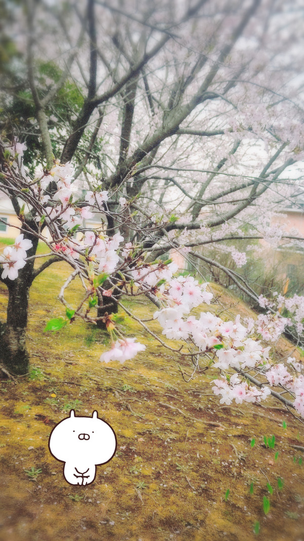 お礼です(⁠*⁠´⁠ω⁠｀⁠*⁠)