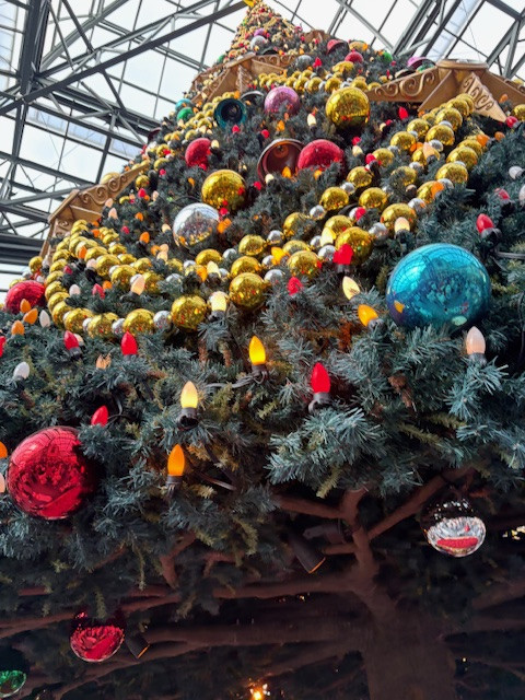 昨日今日、お休みをいただいております