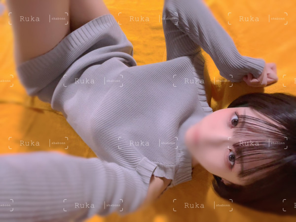 申し訳ないです