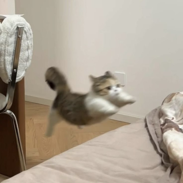 貸切ありがとう🧘‍♀️次回明日！！