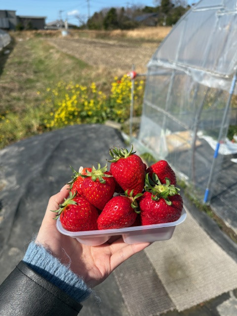 花粉やばい😵‍💫