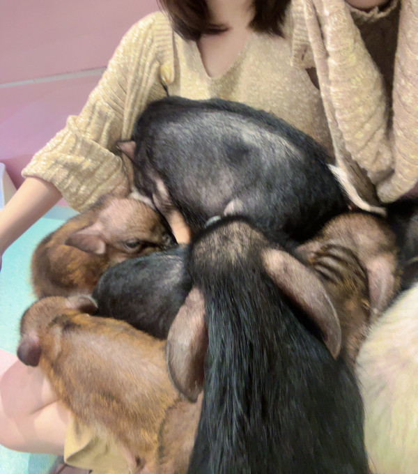 完売ありがとう🙇‍♀️