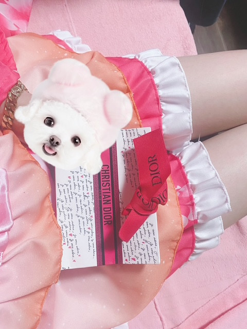 ฅ ˆ.  ̫.ˆ ฅ