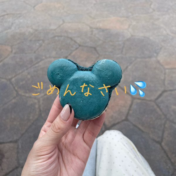 謝罪🙇‍♀️