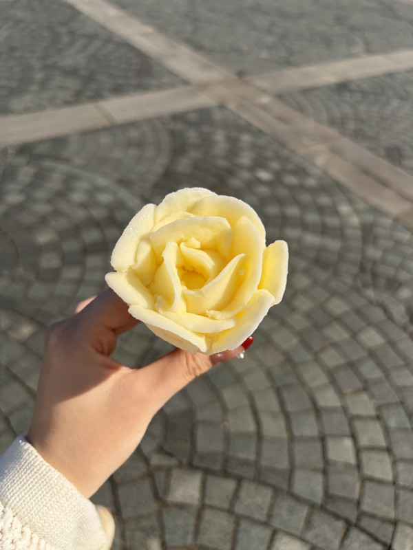 明日の時間変更⏰