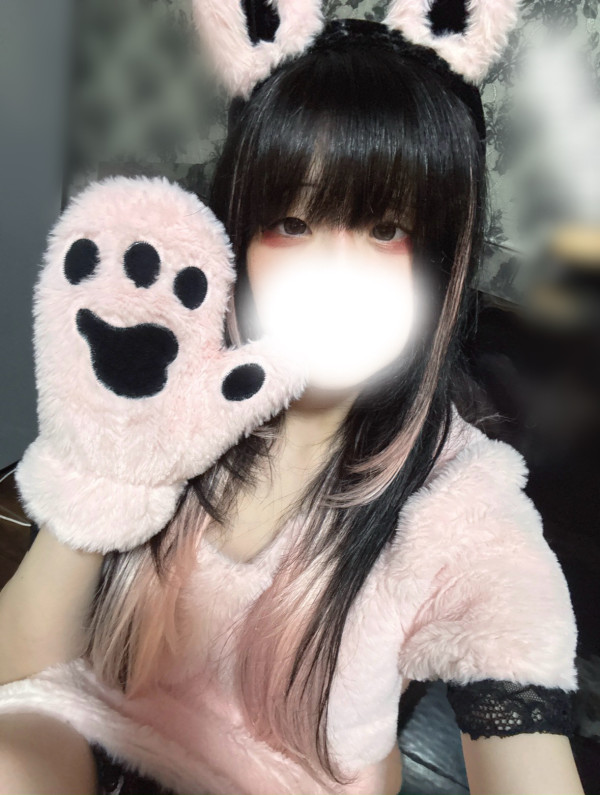 います🐱